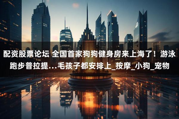 配资股票论坛 全国首家狗狗健身房来上海了！游泳跑步普拉提…毛孩子都安排上_按摩_小狗_宠物