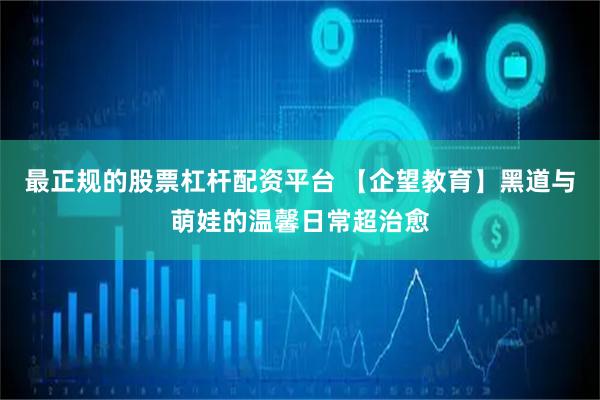 最正规的股票杠杆配资平台 【企望教育】黑道与萌娃的温馨日常超治愈