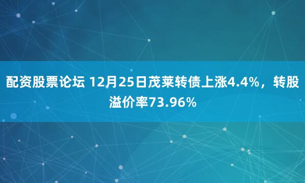 配资股票论坛 12月25日茂莱转债上涨4.4%，转股溢价率73.96%
